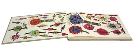 Ngomane, Dorah; Masuku, Aletah; Manthosi, Alsetah; The Ultimate Safari  (2001)
