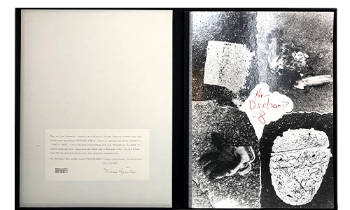 Servais, Roger David; Dschamp 8 (1995)